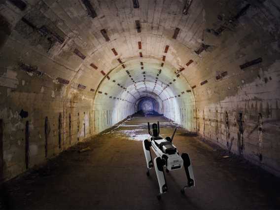 Tunnel with dog robot